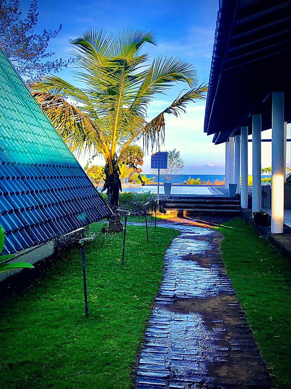 Lush planting around the villas