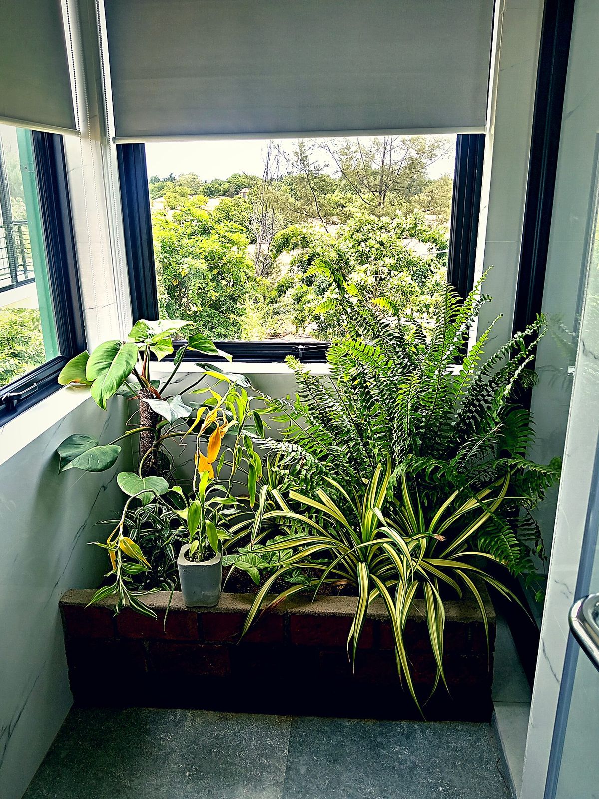 Pool and gardens from above