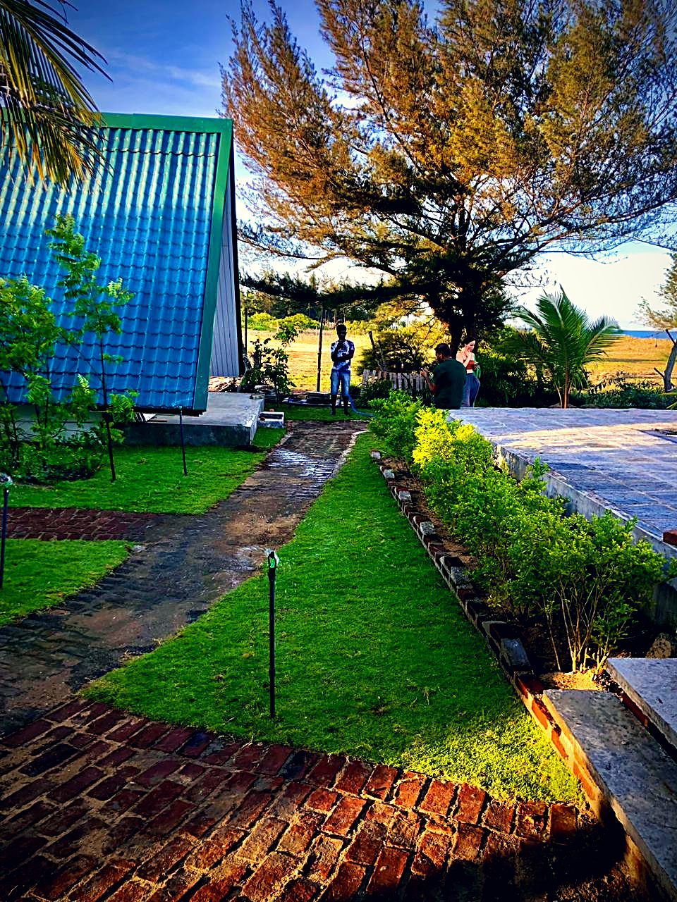 The garden and A-frame villas at Pini Villa, Arugam Bay